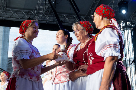 Slovensko - slovaški kulturni dan 